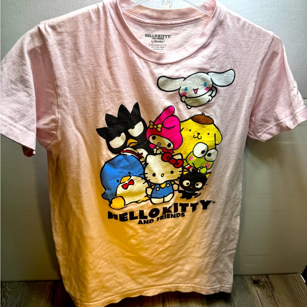 Sanrio Hello Kitty And Friends Women’s Small T-Shirt Pink Short Sleeve Crew Neck